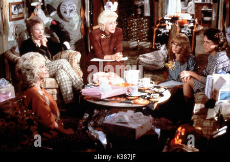 STEEL MAGNOLIAS Dolly Parton, SHIRLEY MACLAINE, Olympia Dukakis, DARYL HANNAH data: 1989 Foto Stock