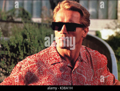 TWINS Arnold Schwarzenegger data: 1988 Foto Stock