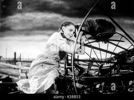 THE WIZARD OF OZ MGM Judy Garland data: 1939 Foto Stock