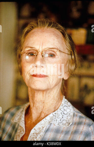 La guida MISS DAISY JESSICA TANDY LA GUIDA MISS DAISY data: 1988 Foto Stock