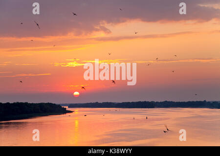 Fantastico tramonto sul fiume Dnipro, uccelli sorvolano acqua calma. Fishemen barche in distanza. Foto Stock