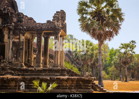 Angkor Wat, Siem Reap, Cambogia Foto Stock