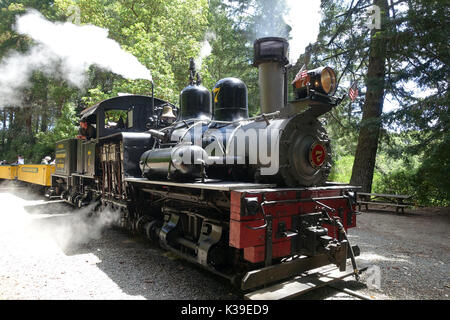 Roaring Camp ferrovie - treni reale dal 1890 vi porteranno lungo percorsi panoramici. Foto Stock