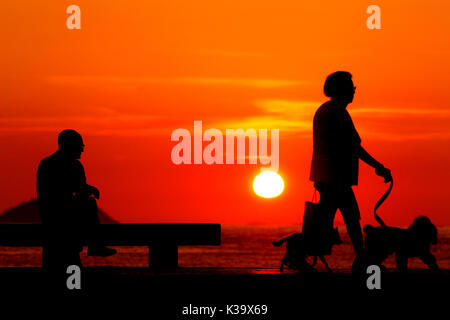 Donna che cammina con due cani di sunrise, sulla spiaggia di Copacabana, Rio de Janeiro, Brasile Foto Stock