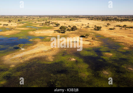 Paludi d'acqua dolce con flussi, i canali e le isole, vista aerea, Okavango Delta, Moremi Game Reserve, Botswana Foto Stock