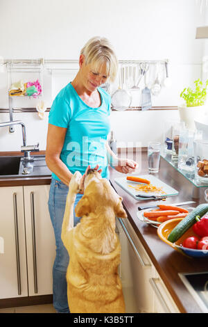 Immagine di una donna che dà un alimento di cane mentre si prepara il pasto Foto Stock