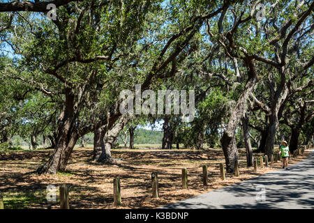 Georgia,Jekyll Island,Barrier Island,pathway,trail,muschio spagnolo,visitatori viaggio viaggio turismo turistico punto di riferimento cultura culturale,vac Foto Stock