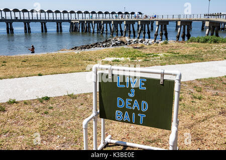 Georgia,Jekyll Island,Barrier Island,molo,Jekyll Island Fishing Pier,Saint St Simons Sound,segno,esca morta dal vivo,umorismo,visitatori in viaggio Foto Stock