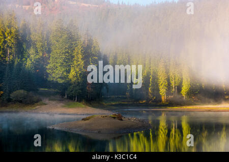 Spessore nebbia mattutina sul lago nel bosco di abete rosso. piccola isola tra riflessioni sulla superficie dell'acqua. stupendo paesaggio naturale in autunno Foto Stock