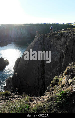 Una vista in verticale di arrampicatori arrampicata sulle rocce vicino a St non è sulla costa a St Davids in Pembrokeshire West Wales, Gran Bretagna KATHY DEWITT Foto Stock