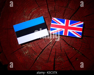 Bandiera estone con bandiera britannica su un ceppo di albero isolato Foto Stock