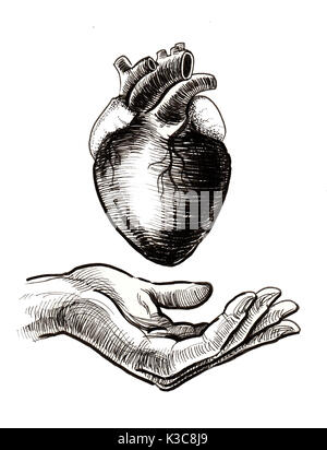 cuore e mano Foto Stock