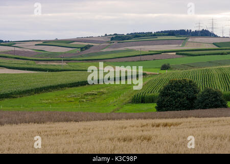 Una vista dei campi intorno della piccola cittadina di Neustadt (marburg-biedenkopf del distretto di Hessen) e nei dintorni di terreni agricoli. Foto Stock