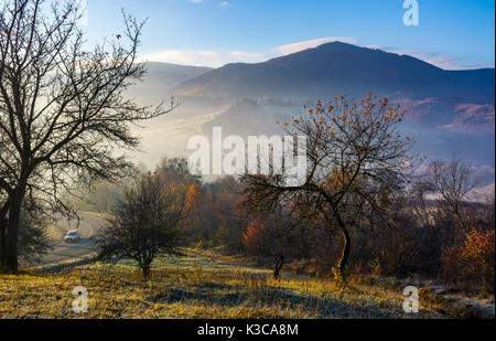 Meleto in montagna in autunno sunrise. alberi con foglie di colore rosso su erba smerigliato vicino alla strada di mattina presto. la splendida campagna circostante landsca Foto Stock