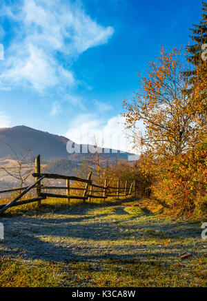 Staccionata legno naturale