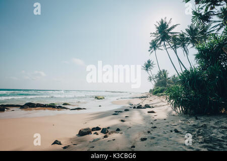 Il Coconut Beach vicino a Weligama sullo Sri Lankas costa sud Foto Stock