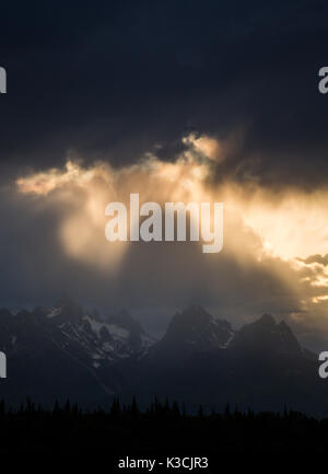 Outlook Alaska Range, Denali Nationalpark, Talkeetna, Denali Viewpoint Sud, Alaska, STATI UNITI D'AMERICA Foto Stock