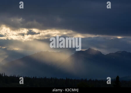 Outlook Alaska Range, Denali Nationalpark, Talkeetna, Denali Viewpoint Sud, Alaska, STATI UNITI D'AMERICA Foto Stock