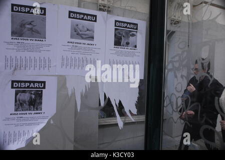 Una campagna promuove i diritti degli animali della difesa, a Bruxelles, in Belgio Foto Stock