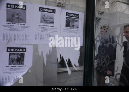 Una campagna promuove i diritti degli animali della difesa, a Bruxelles, in Belgio Foto Stock