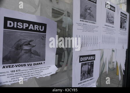 Una campagna promuove i diritti degli animali della difesa, a Bruxelles, in Belgio Foto Stock