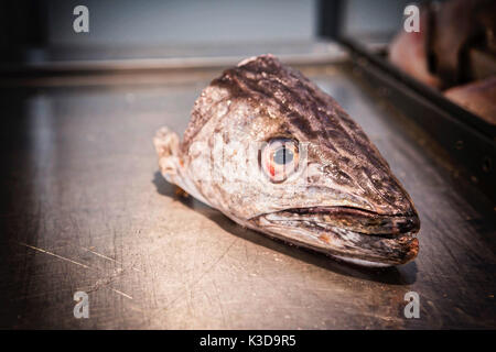 Taglio di testa di pesce sul mercato, Concept Foto Stock