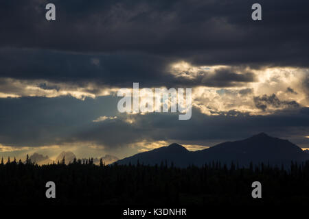 Outlook Alaska Range, Denali Nationalpark, Talkeetna, Denali Viewpoint Sud, Alaska, STATI UNITI D'AMERICA Foto Stock