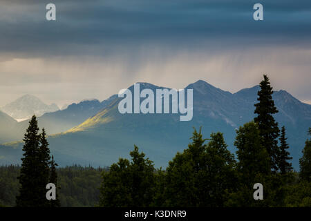 Outlook Alaska Range, Denali Nationalpark, Talkeetna, Denali Viewpoint Sud, Alaska, STATI UNITI D'AMERICA Foto Stock