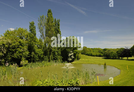 Stagno in il Sundridge Park golf club, Bromley, Kent, Inghilterra, Foto Stock