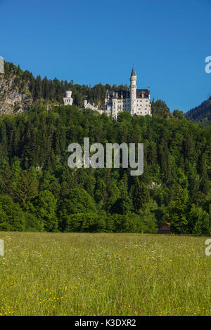 Castello di Neuschwanstein, Schwangau vicino a Füssen (città), Svevo, Baviera, Germania, Foto Stock