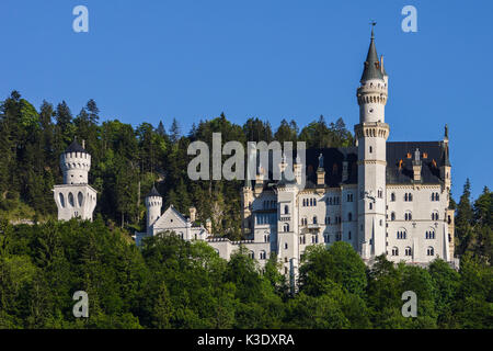 Castello di Neuschwanstein, Schwangau vicino a Füssen (città), Svevo, Baviera, Germania, Foto Stock