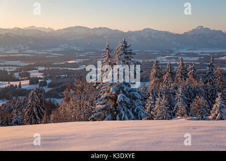 Vista dall'Auerberg su Ammergauer alpi, Alta Baviera, Baviera, Germania, Foto Stock