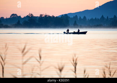 Pescatore sul Kochelsee al mattino, Schlehdorf, Alta Baviera, Baviera, Germania, Foto Stock