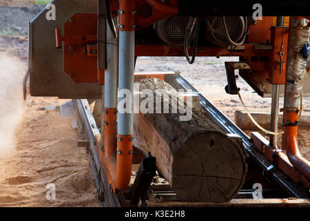 Il Cile, Araucania, Curacautin, Mapuche, il commercio equo e solidale, legno segheria, macchina sezionatrice, Foto Stock