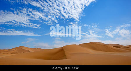 Africa, Namibia, deserto Namib Desert, Regione di Erongo, Dorob national park, area di dune, Walvis Bay, Swakopmund, immagine panoramica, Foto Stock