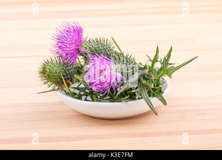 Tazza in porcellana con la fioritura Maria thistle su sfondo di legno Foto Stock