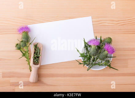 Vista dall'alto sulla fioritura Maria thistle e carta bianca con copia spazio sulla terra in legno Foto Stock