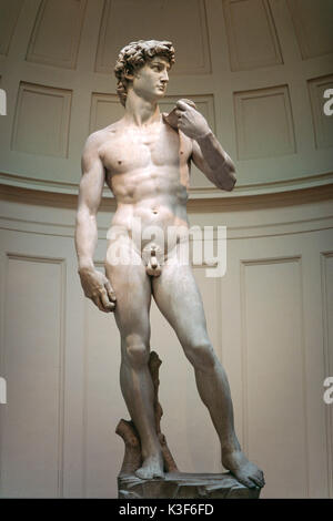 Figura originale di David von Michelangelo Buonarroti, Firenze Italia Galleria dellAccademia Foto Stock