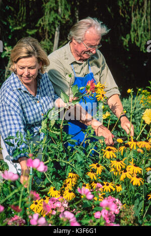 Coppia di anziani presso il giardinaggio Foto Stock