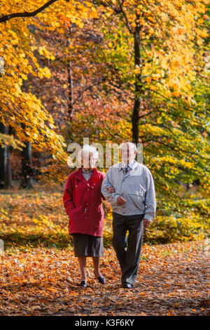 Senior Citizen's giovane passa per una passeggiata in legno Foto Stock