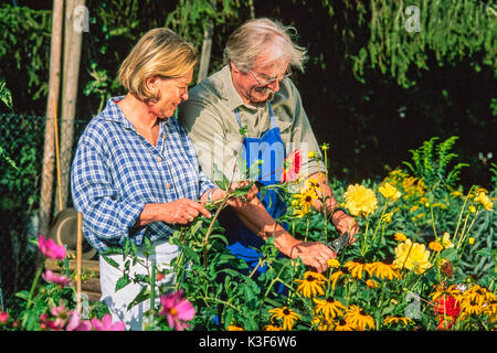 Coppia di anziani presso il giardinaggio Foto Stock