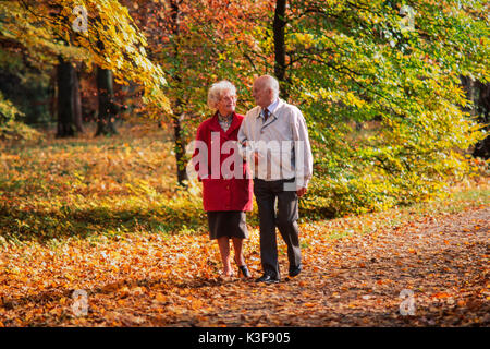 Senior Citizen's giovane passa per una passeggiata in legno Foto Stock