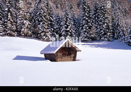 Coperte di neve capanna a bordo della foresta Foto Stock