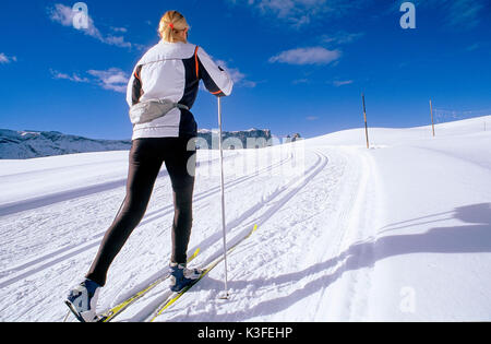 Cross-country sul Seiseralm, Sud Tirolo Foto Stock