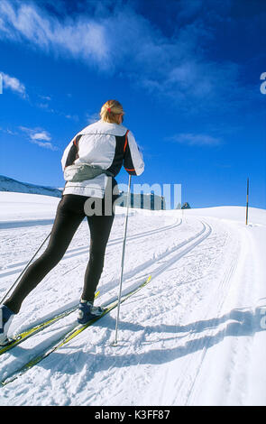 Cross-country sul Seiseralm, Sud Tirolo Foto Stock