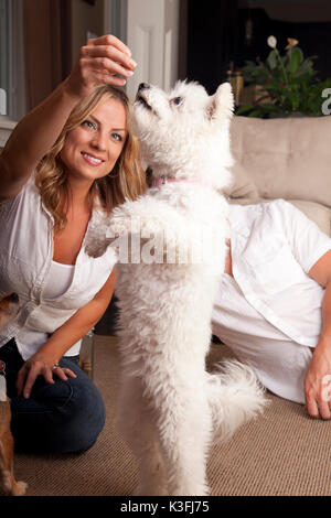 Coppia giovane giocando con un cane in casa, animale in piedi sulle zampe posteriori. Foto Stock