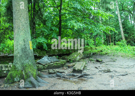 Regione Mazuria, Polonia. Il 2 settembre, 2017. La gente a piedi a La Tana del Lupo resti sono visibili il 2 settembre 2017 in Gierloz , Polonia. Lupo della tana (Ger. Wolfsschanze) rovine di Adolf Hilter del quartier generale di guerra è che è una città nascosta nel bosco costituito da 200 edifici: rifugi, caserme, 2 aeroporti, una stazione di alimentazione, una stazione ferroviaria, condizionatori, approvvigionamenti di acqua, calore-impianti di generazione e due telescriventi. Credito: Michal Fludra/Alamy Live News Foto Stock