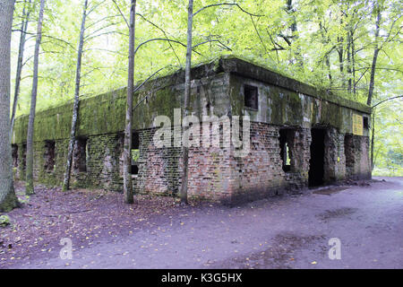 Regione Mazuria, Polonia. Il 2 settembre, 2017. La gente a piedi a La Tana del Lupo resti sono visibili il 2 settembre 2017 in Gierloz , Polonia. Lupo della tana (Ger. Wolfsschanze) rovine di Adolf Hilter del quartier generale di guerra è che è una città nascosta nel bosco costituito da 200 edifici: rifugi, caserme, 2 aeroporti, una stazione di alimentazione, una stazione ferroviaria, condizionatori, approvvigionamenti di acqua, calore-impianti di generazione e due telescriventi. Credito: Michal Fludra/Alamy Live News Foto Stock