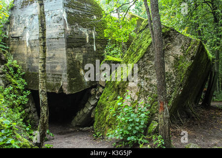 Regione Mazuria, Polonia. Il 2 settembre, 2017. La gente a piedi a La Tana del Lupo resti sono visibili il 2 settembre 2017 in Gierloz , Polonia. Lupo della tana (Ger. Wolfsschanze) rovine di Adolf Hilter del quartier generale di guerra è che è una città nascosta nel bosco costituito da 200 edifici: rifugi, caserme, 2 aeroporti, una stazione di alimentazione, una stazione ferroviaria, condizionatori, approvvigionamenti di acqua, calore-impianti di generazione e due telescriventi. Credito: Michal Fludra/Alamy Live News Foto Stock