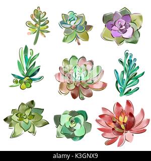 Set di vettore di elementi floreali in stile acquarello. Succulente dipinti ad acquerello. Illustrazione Vettoriale